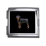 Rottweiler Dog Gifts BB Mega Link Italian Charm (18mm)
