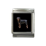 Rottweiler Dog Gifts BB Italian Charm (13mm)