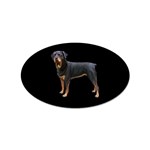 Rottweiler Dog Gifts BB Sticker Oval (100 pack)