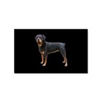 Rottweiler Dog Gifts BB Sticker Rectangular (10 pack)