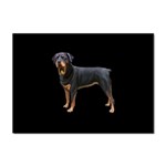 Rottweiler Dog Gifts BB Sticker A4 (10 pack)