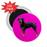 Rottweiler Dog Gifts BP 2.25  Magnet (100 pack) 