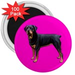Rottweiler Dog Gifts BP 3  Magnet (100 pack)