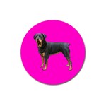 Rottweiler Dog Gifts BP Magnet 3  (Round)