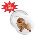 Pomeranian Dog Gifts BW 1.75  Button (10 pack) 