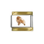 Pomeranian Dog Gifts BW Gold Trim Italian Charm (9mm)