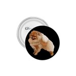 Pomeranian Dog Gifts BB 1.75  Button
