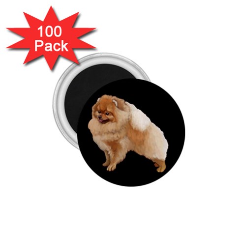 Pomeranian Dog Gifts BB 1.75  Magnet (100 pack)  from UrbanLoad.com Front
