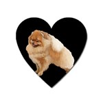 Pomeranian Dog Gifts BB Magnet (Heart)