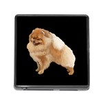 Pomeranian Dog Gifts BB Memory Card Reader with Storage (Square)