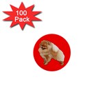 Pomeranian Dog Gifts BR 1  Mini Button (100 pack) 