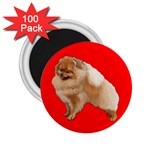 Pomeranian Dog Gifts BR 2.25  Magnet (100 pack) 