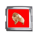 Pomeranian Dog Gifts BR Mega Link Italian Charm (18mm)