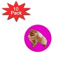 Pomeranian Dog Gifts BP 1  Mini Button (10 pack) 