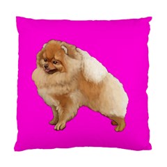 Pomeranian Dog Gifts BP Cushion Case (Two Sides) from UrbanLoad.com Front