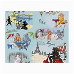 Poodles in Paris Glasses Cloth (Small, Two Sides)