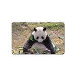 Big Panda Magnet (Name Card)