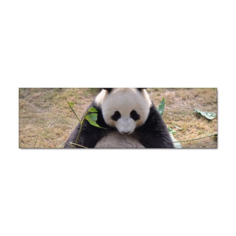Big Panda Sticker Bumper (100 pack) from UrbanLoad.com Front