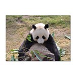 Big Panda Sticker A4 (100 pack)