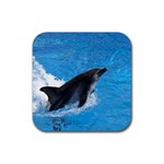 Swimming Dolphin Rubber Coaster (Square)