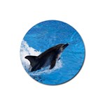 Swimming Dolphin Rubber Coaster (Round)