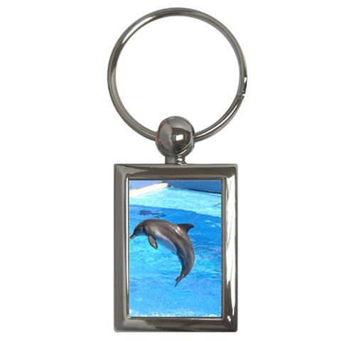 Jumping Dolphin Key Chain (Rectangle) from UrbanLoad.com Front