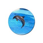 Jumping Dolphin Rubber Coaster (Round)