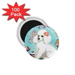 Whte Poodle Cakes Cupcake  1.75  Magnet (100 pack) 