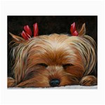 Sleeping Yorkie Painting Scan 300dpi Retouched Copy Glasses Cloth (Small, Two Sides)