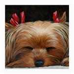 Sleeping Yorkie Painting Scan 300dpi Retouched Copy Glasses Cloth (Medium, Two Sides)