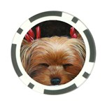 Sleeping Yorkie Painting Scan 300dpi Retouched Copy Poker Chip Card Guard