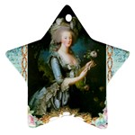 Marie Antoinette Pink Roses And Blue 6 By 8 Copy Star Ornament (Two Sides)