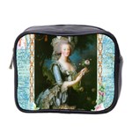 Marie Antoinette Pink Roses And Blue 6 By 8 Copy Mini Toiletries Bag (Two Sides)