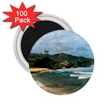 Barbados Beach 2.25  Magnet (100 pack) 