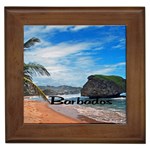 Beach Boulder Barbados Framed Tile