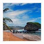 Beach Boulder Barbados Glasses Cloth (Medium, Two Sides)