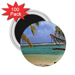 Belize Beach10x8 2.25  Magnet (100 pack) 