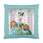 Marie W Pink Panel Pillow Aqua Copy Cushion Case (Two Sides)
