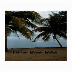 Pelican Beach Belize Glasses Cloth (Small, Two Sides) from UrbanLoad.com Front