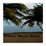 Pelican Beach Belize Glasses Cloth (Medium, Two Sides)