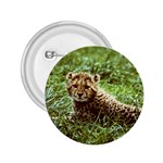 Cheetah  2.25  Button