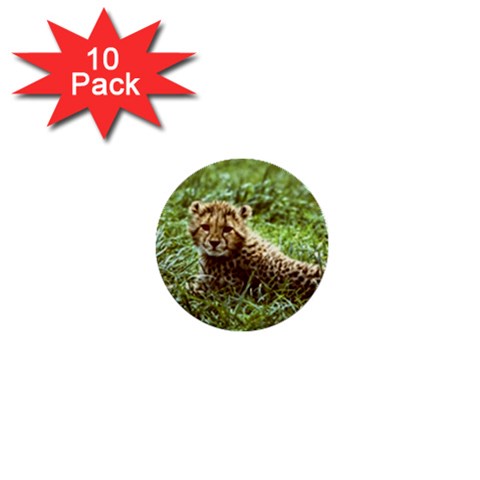 Cheetah  1  Mini Button (10 pack)  from UrbanLoad.com Front