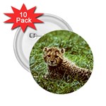 Cheetah  2.25  Button (10 pack)