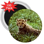 Cheetah  3  Magnet (100 pack)