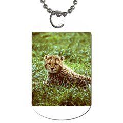 Cheetah  Dog Tag (Two Sides) from UrbanLoad.com Back