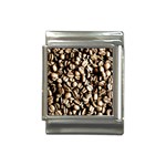 Coffee Beans Italian Charm (13mm)