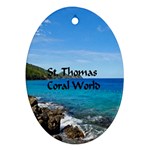 Coral World Oval Ornament (Two Sides)