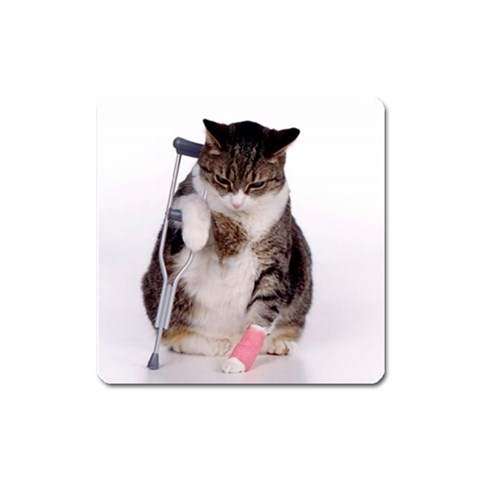 1200581839 1024x768 Cat With Crutches Magnet (Square) from UrbanLoad.com Front