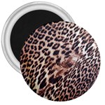 Exotic Leopard Print 3  Magnet