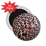 Exotic Leopard Print 2.25  Magnet (10 pack)